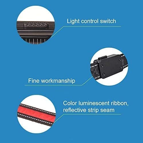 Emmarie & Friends LED Dog Collar & Solar Leash Set