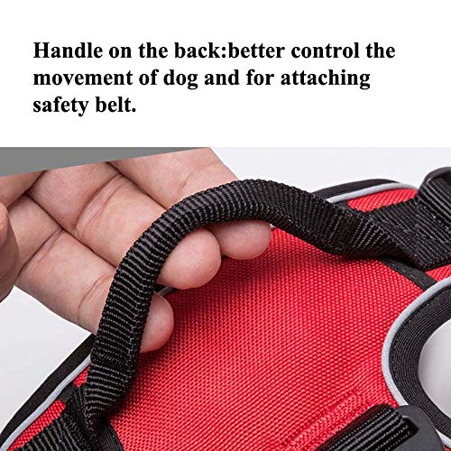 Reflective Nylon Dog Harness with Adjustable Safety Lead