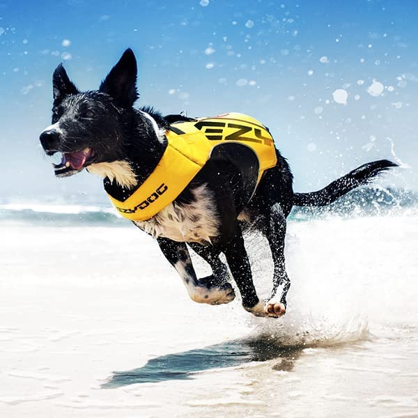 EzyDog DFD X2 Dog Life Jacket with Reflective Trim
