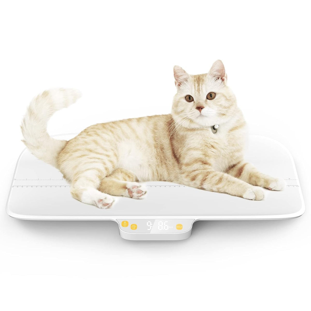 Digital pet & Baby Scale, 3 Modes (kg/oz/lb), max 220 lbs, Precision 0.02 lbs, auto-Hold, Integrated Design, for Infants, Cats, Dogs, Puppies & Moms.