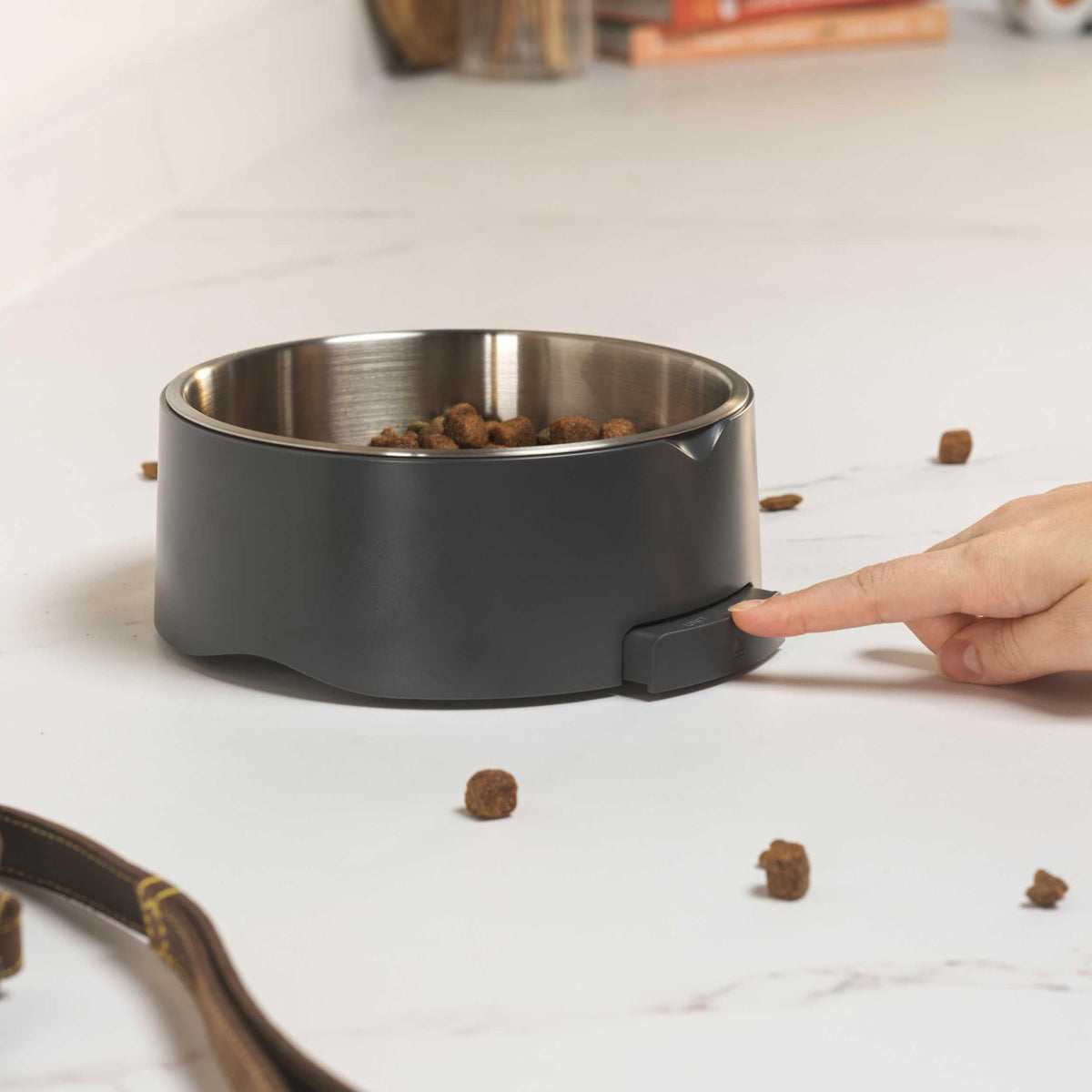 Salter Digital Pet Food Scale – Smart Dog Bowl, Add & Weigh Tare Function, Measures Liquids, Pull Out LCD Display, Kitchen Food Weighing Bowl, 5 kg Capacity, Stainless Steel Bowl, Cat Feeder, Grey