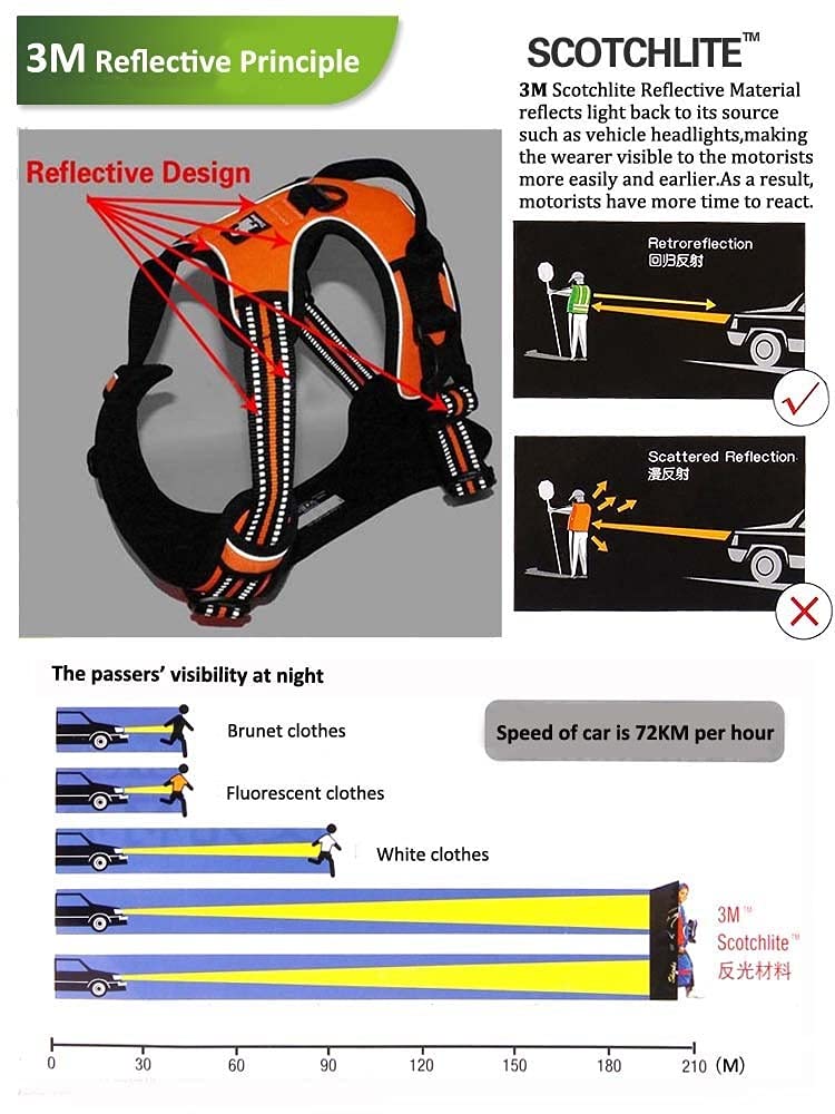 Reflective Nylon Dog Harness with Adjustable Safety Lead
