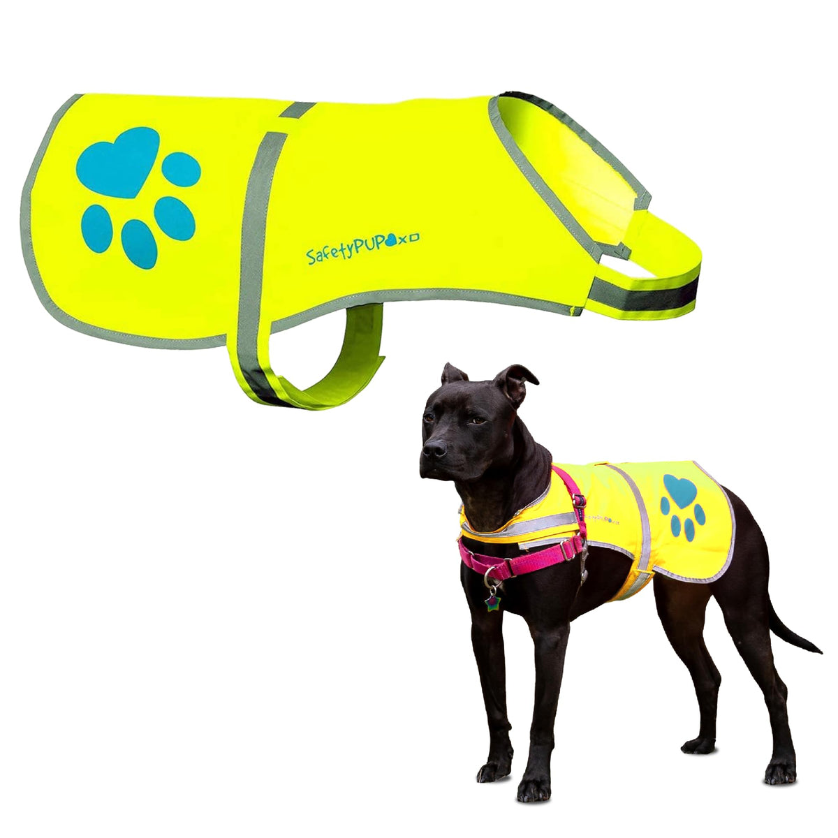 Reflective Hi-Vis Dog Safety Vest for Night Walks