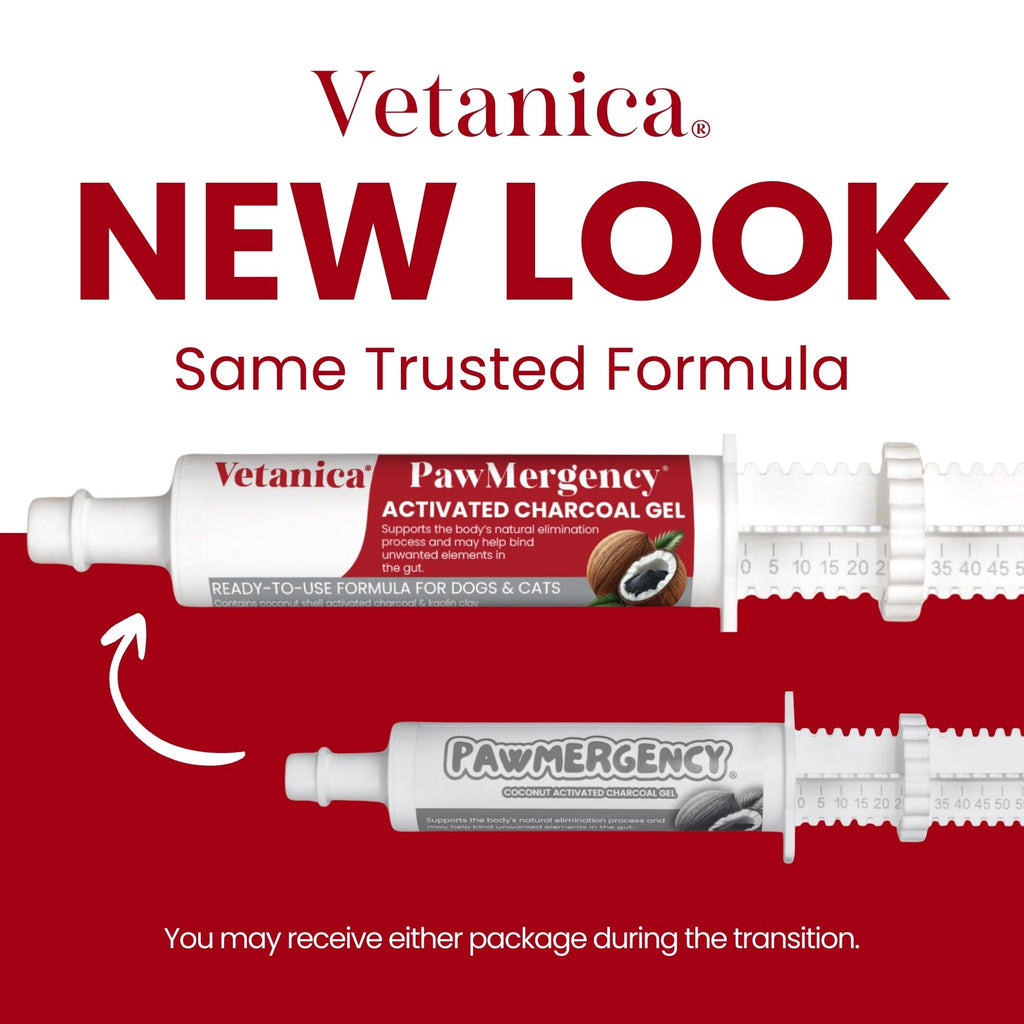 Vetanica PawMergency Activated Charcoal Pet First Aid Kit