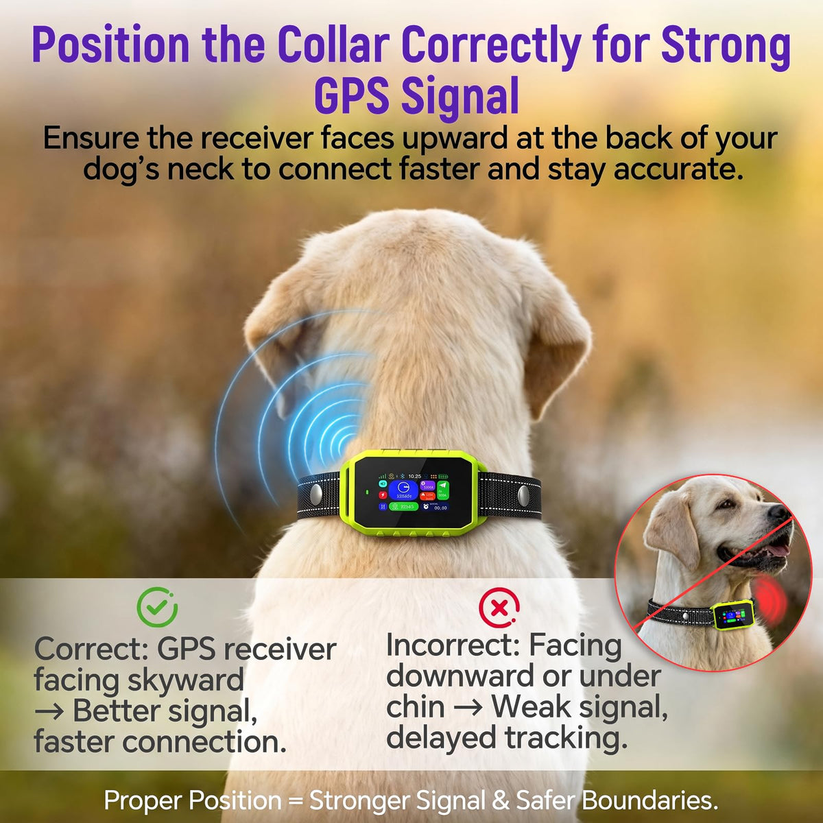 RAINLEOTI GPS Wireless Dog Fence & Remote Training Collar, Free APP Control, No Subscription Fee, Adjustable GPS Boundary for Dogs 10-120 lbs