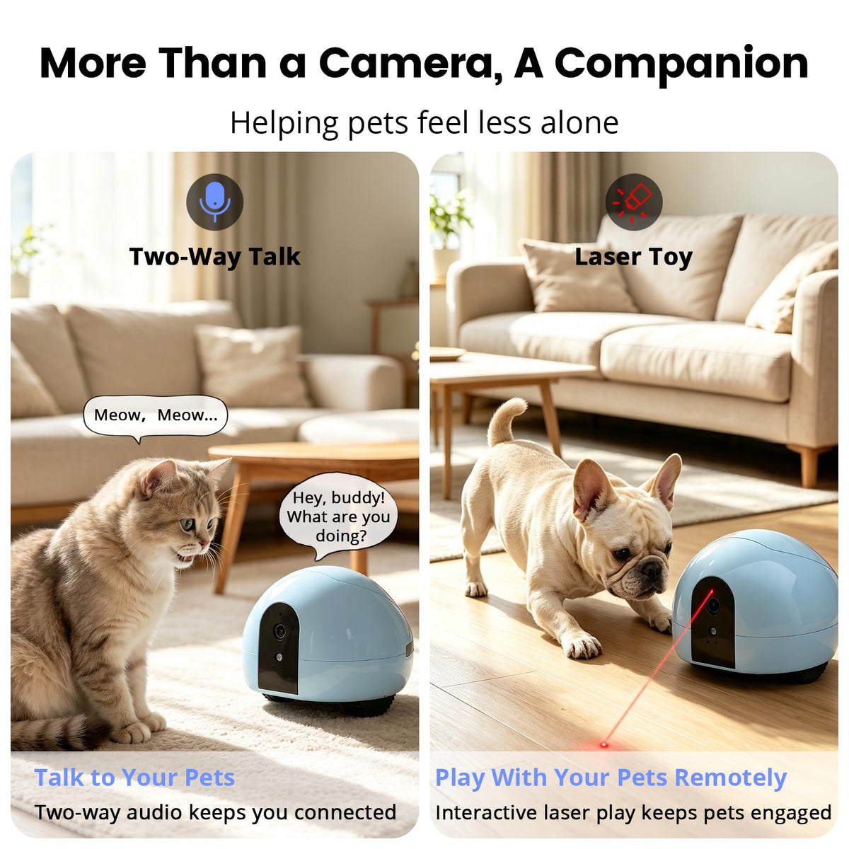 PUMPKII Pet Camera Robot with Treat Dispenser & Laser, Moving Cat Robot Camera for Dogs and Cats with Two-Way Audio, App Remote Control, Auto Recharge, Night Vision