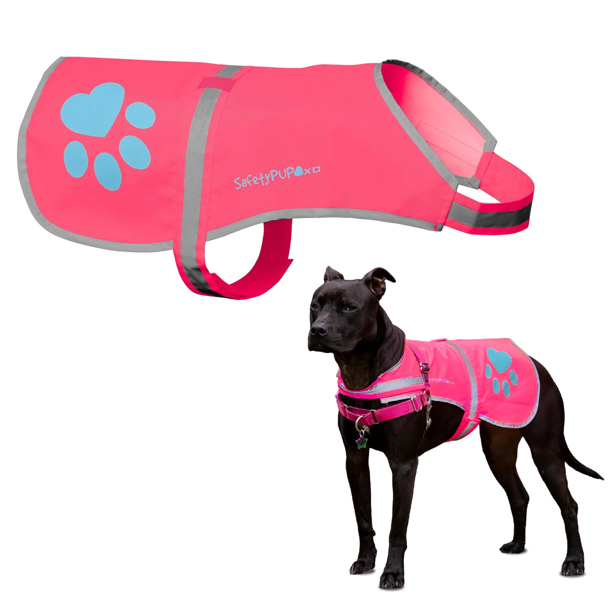 Reflective Hi-Vis Dog Safety Vest for Night Walks
