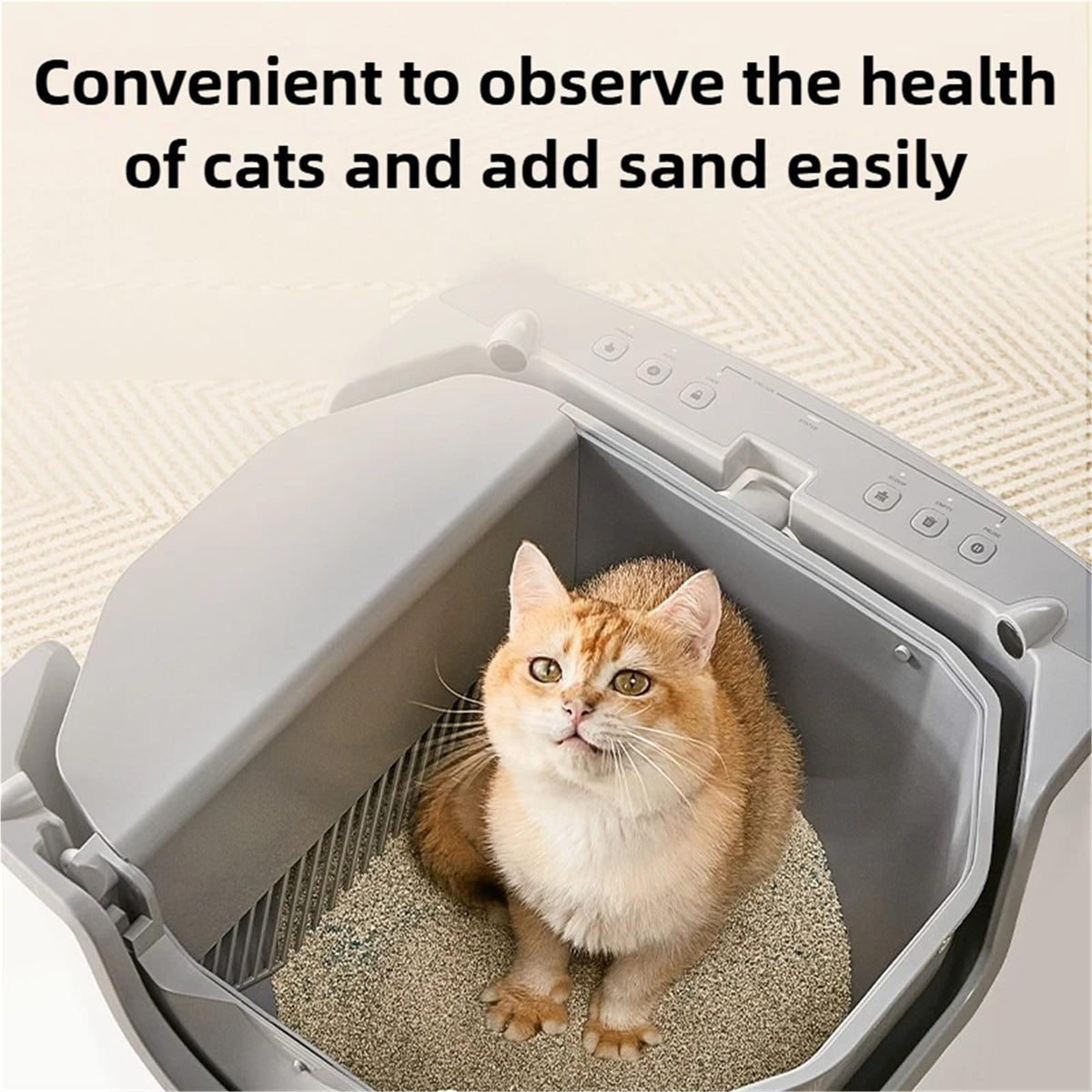 Open Self-Cleaning Litter Box with Sand Trap Pedal and Odor Guard
