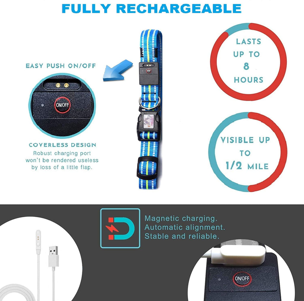Emmarie & Friends LED Dog Collar & Solar Leash Set