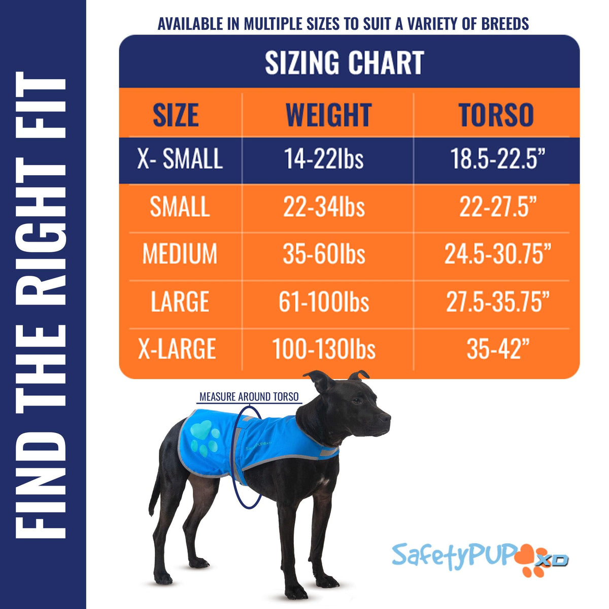 Reflective Hi-Vis Dog Safety Vest for Night Walks