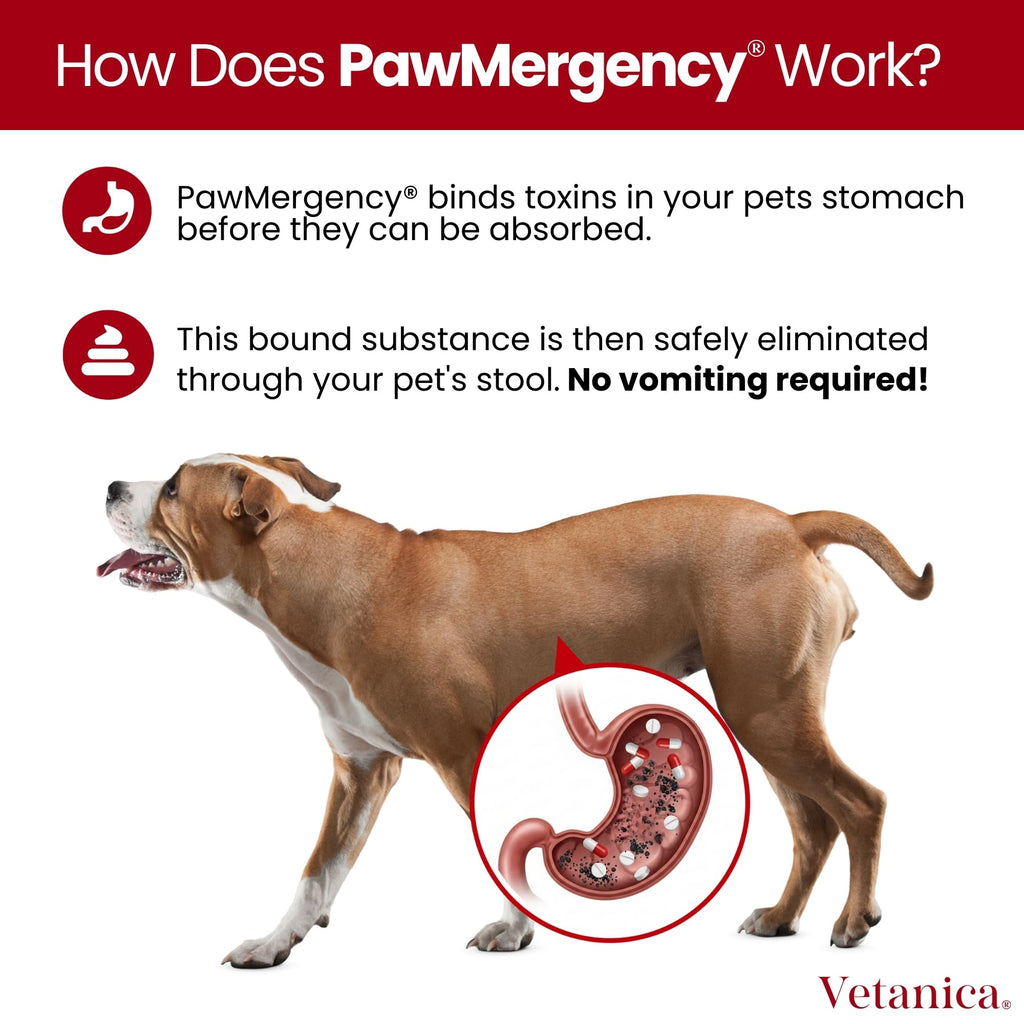 Vetanica PawMergency Activated Charcoal Pet First Aid Kit