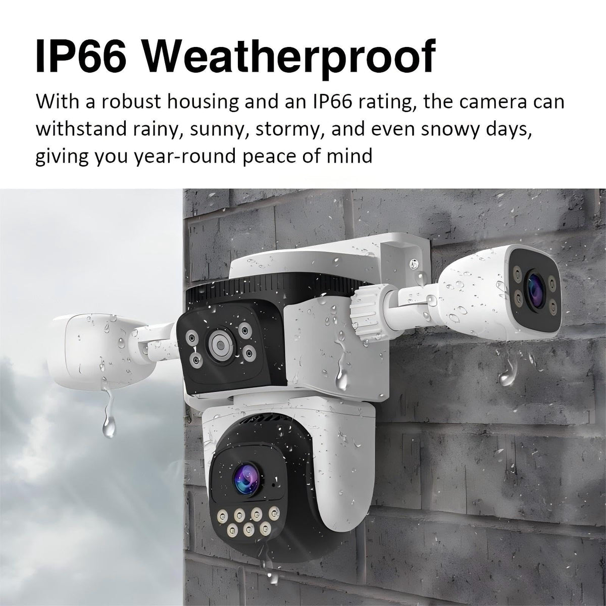EVERSECU okam CS621SR Cameras