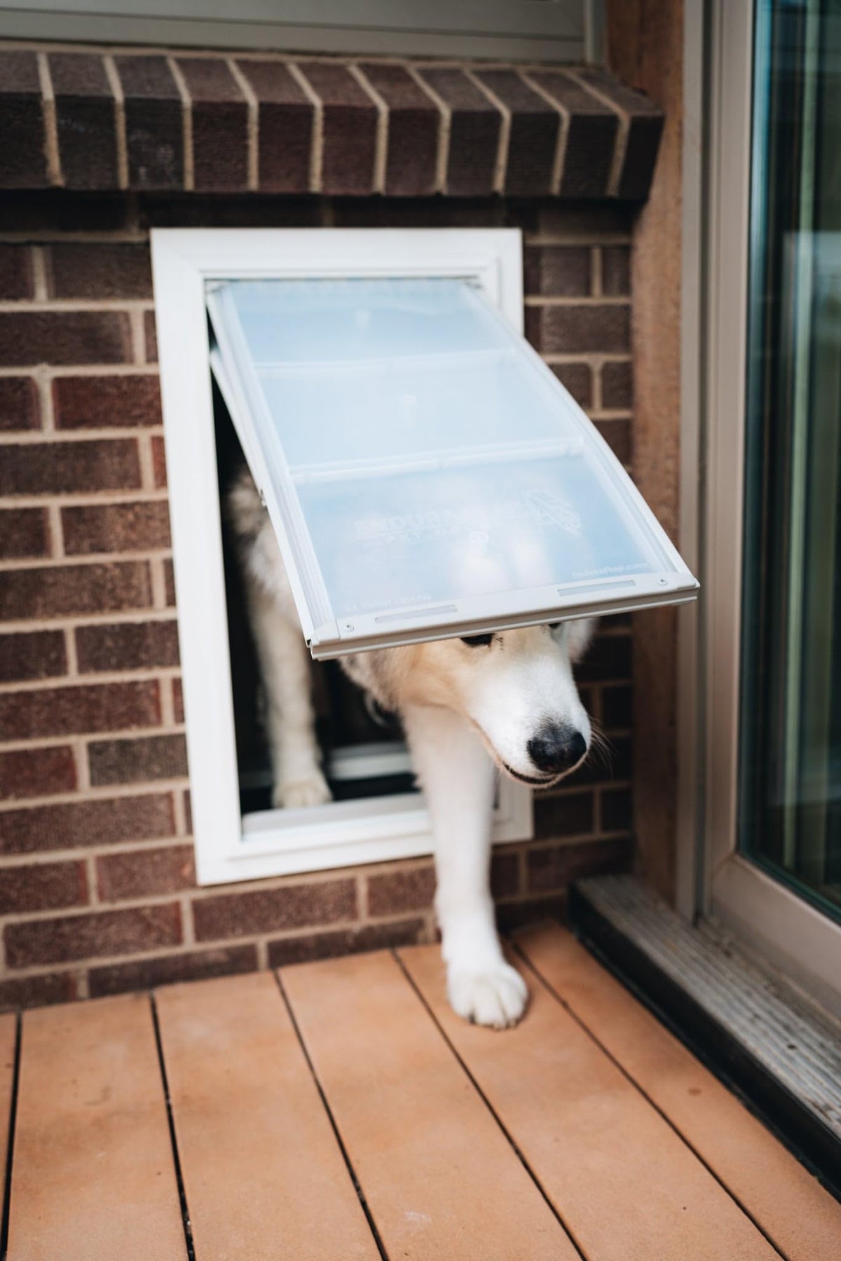 Endura Flap Pet Door for Walls in White | Single Flap & Double Flap | Extra Insulated & Cold Weather Dog Door | Aluminum Frame, Telescoping Tunnel, & Locking Cover | Small, Medium, Large, Extra Large