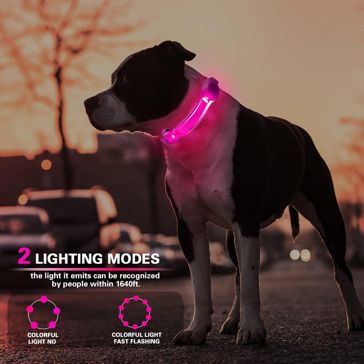 2 Pack LED Light for Dog Leash Harness, Light Up Dog Collar with Nylon Stickers, Waterproof Glow Light Easy to Attach to Collar Leash and Harness, Safety LED Light Up Band for Dogs at Night Walking