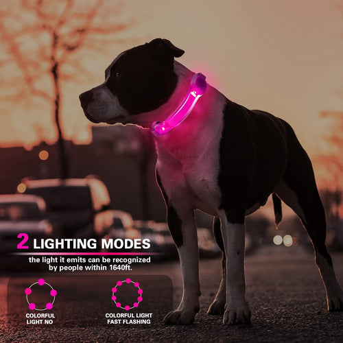2 Pack LED Light for Dog Leash Harness, Light Up Dog Collar with Nylon Stickers, Waterproof Glow Light Easy to Attach to Collar Leash and Harness, Safety LED Light Up Band for Dogs at Night Walking