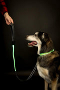 Emmarie & Friends LED Dog Collar & Solar Leash Set