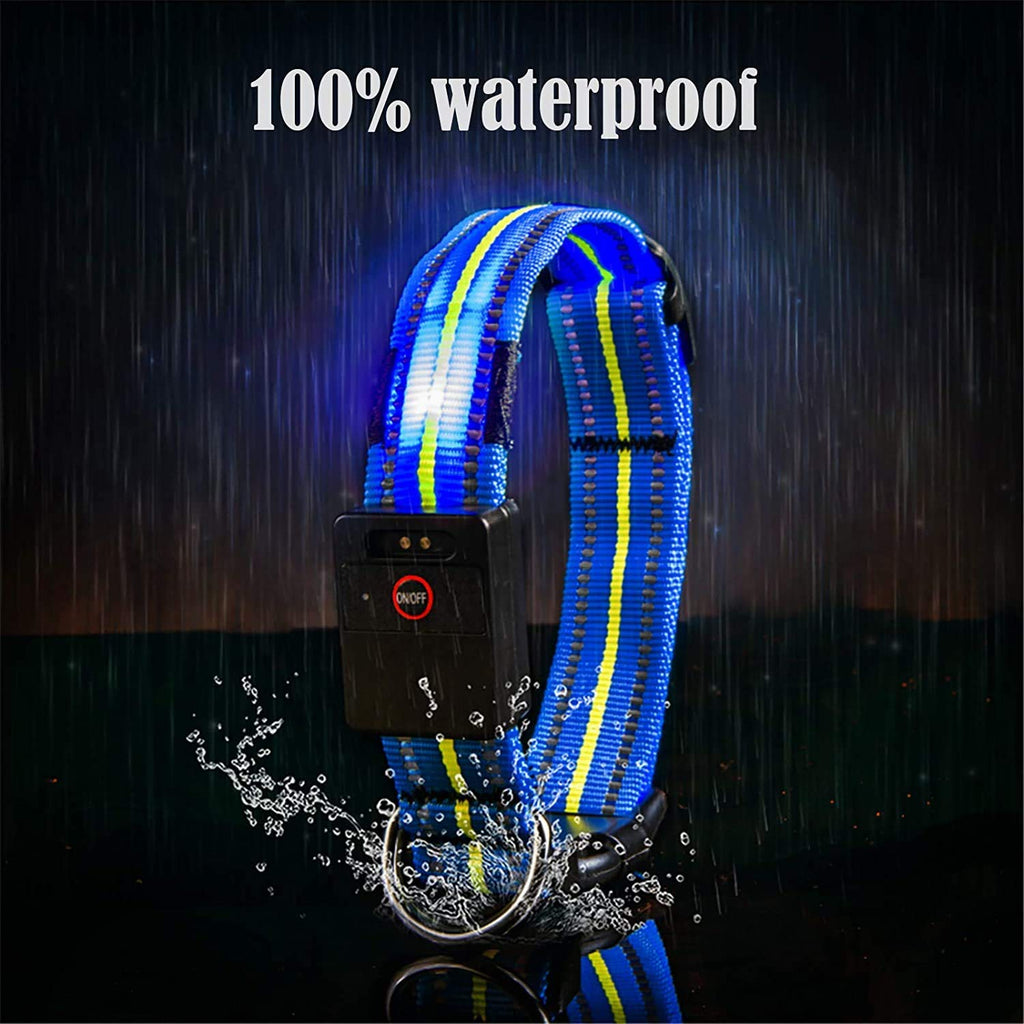 Emmarie & Friends LED Dog Collar & Solar Leash Set