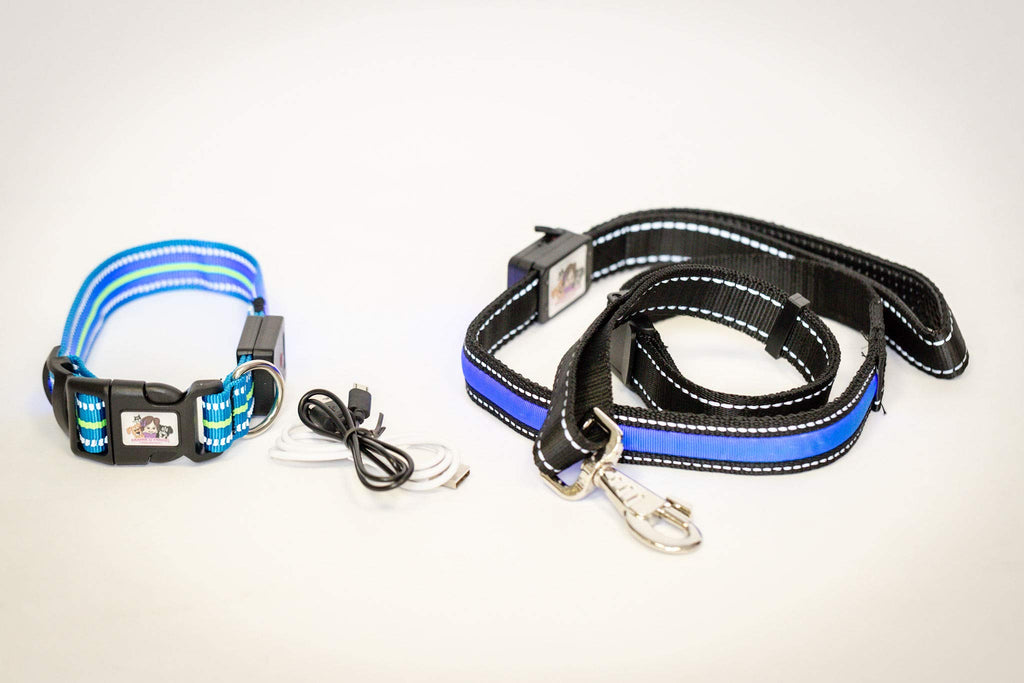 Emmarie & Friends LED Dog Collar & Solar Leash Set