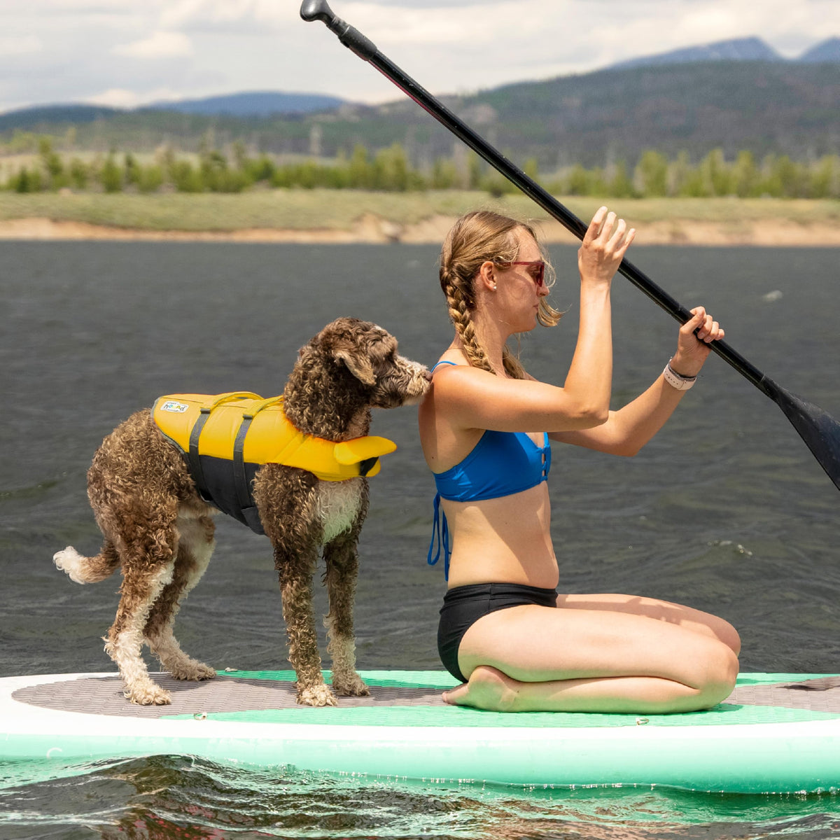 Outward Hound Granby Splash Dog Life Jacket, Medium