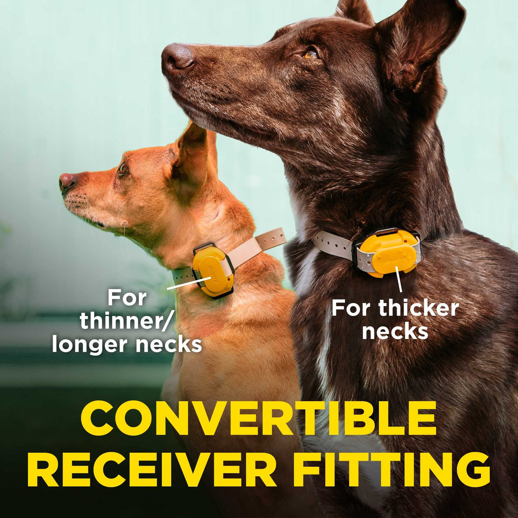 Dogtra CUE Easy Safe e-Collar with Vibration Customizable Waterproof Rechargeable ecollar Remote Training Collar