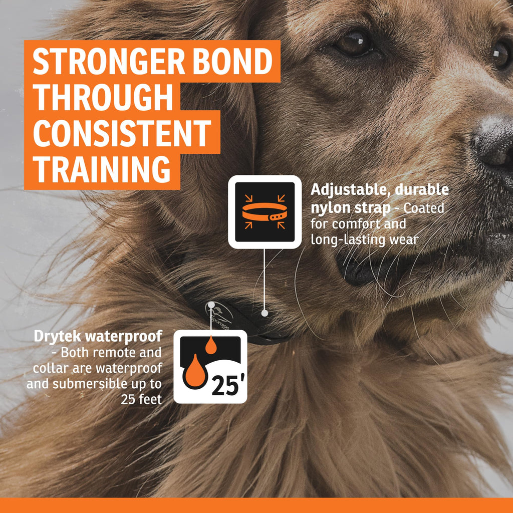 SportDOG Brand Rechargeable In-Ground Fence Systems – from the Parent Company of INVISIBLE FENCE Brand - Underground Wire Electric Fence - Tone, Vibration, & Static - 100 Acre Capability
