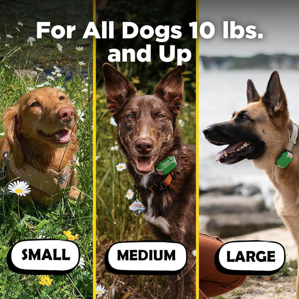 Dogtra CUE Easy Safe e-Collar with Vibration Customizable Waterproof Rechargeable ecollar Remote Training Collar