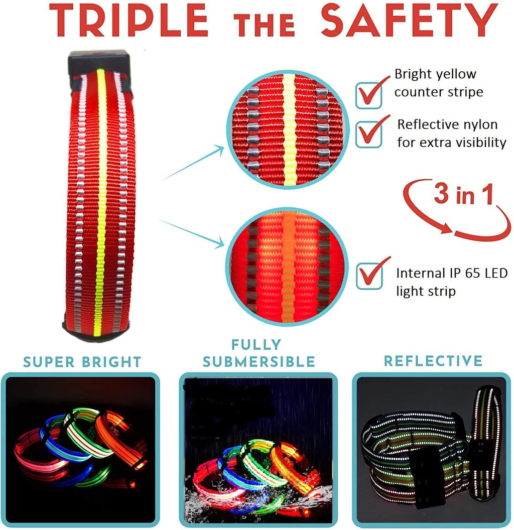 Emmarie & Friends LED Dog Collar & Solar Leash Set