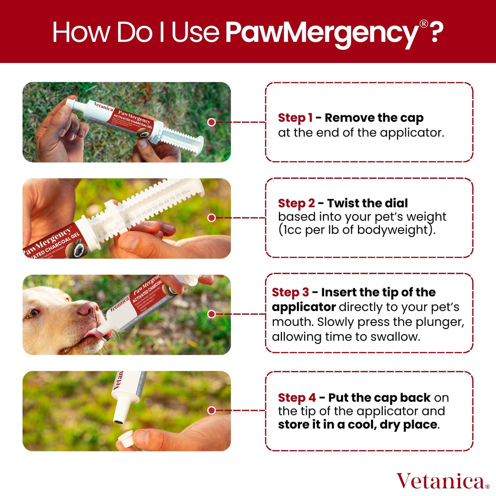 Vetanica PawMergency Activated Charcoal Pet First Aid Kit