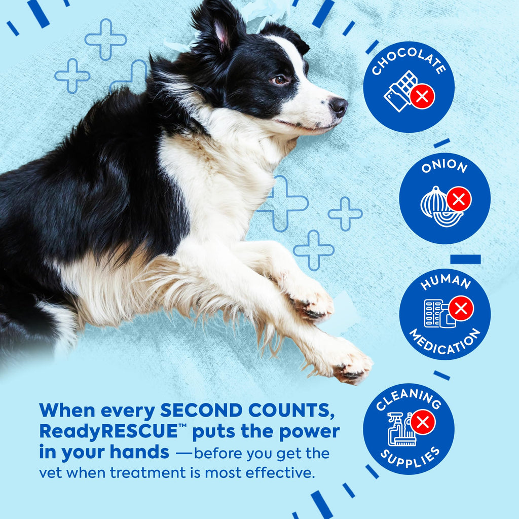 READYRESCUE Activated Charcoal for Dogs & Cats