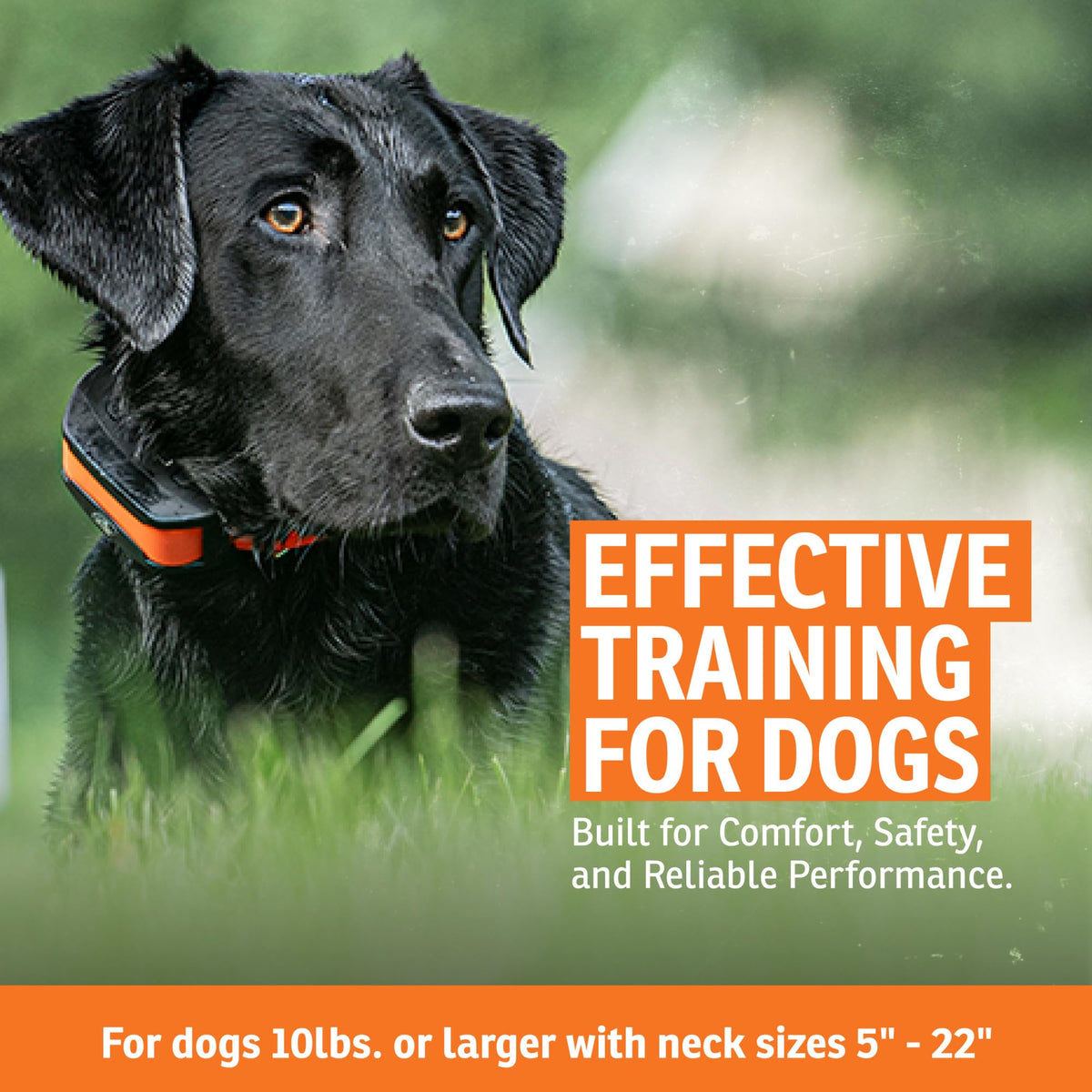 SportDOG Brand Rechargeable In-Ground Fence Systems – from the Parent Company of INVISIBLE FENCE Brand - Underground Wire Electric Fence - Tone, Vibration, & Static - 100 Acre Capability