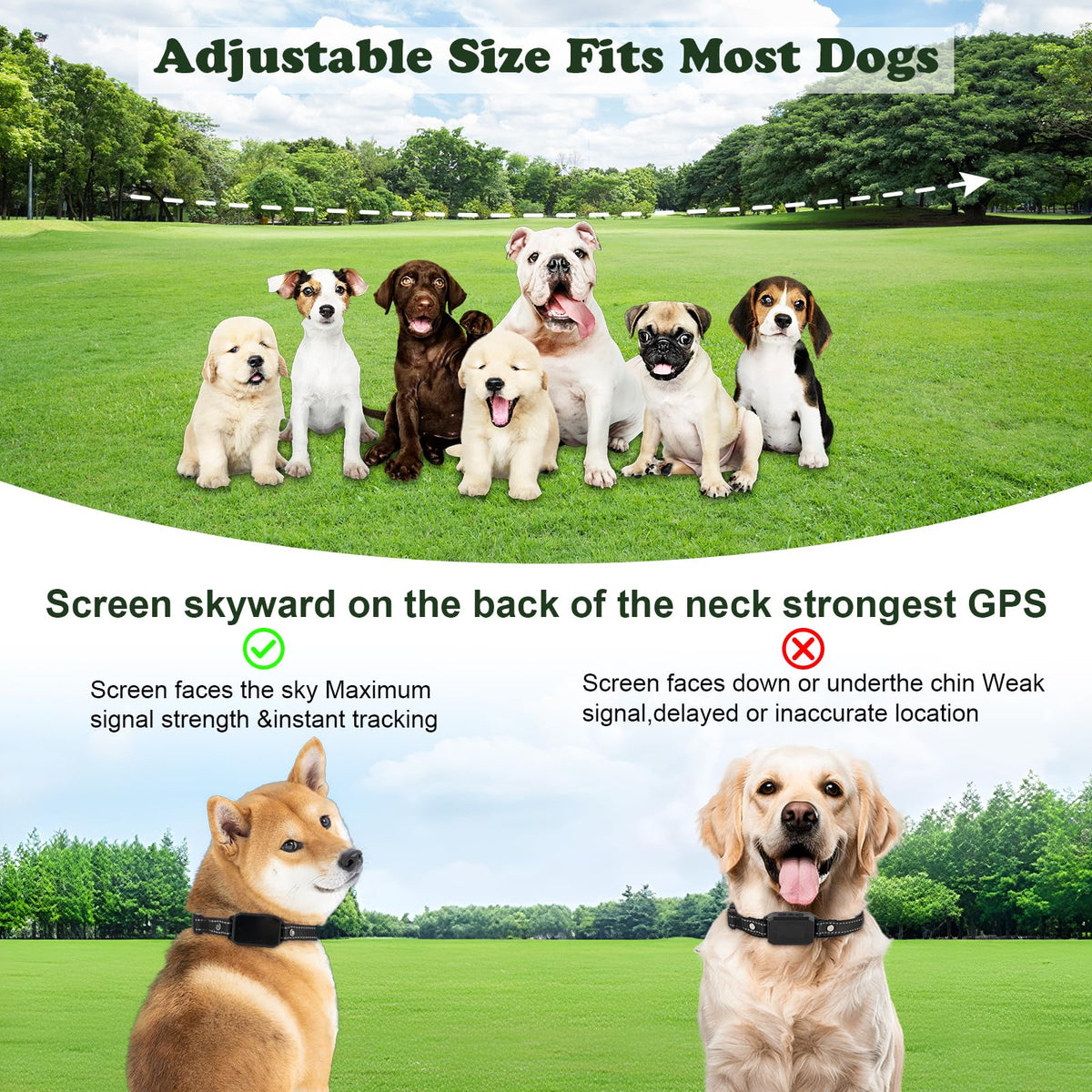 GPS Wireless Dog Collar Fence System & Training Collar, No Monthly Fee App & Remote Training, Adjustable GPS Boundary Irregular Fence,4 Modes, 1-99 Level Training, IP67 Waterproof, 10-120 lbs Dogs