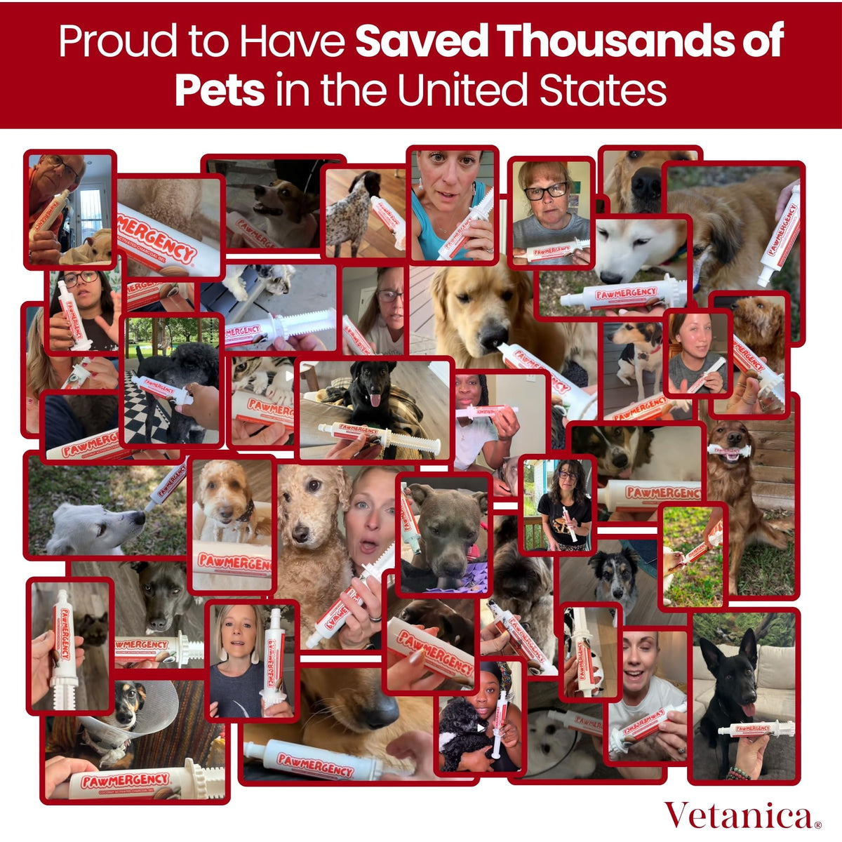 Vetanica PawMergency Activated Charcoal Pet First Aid Kit