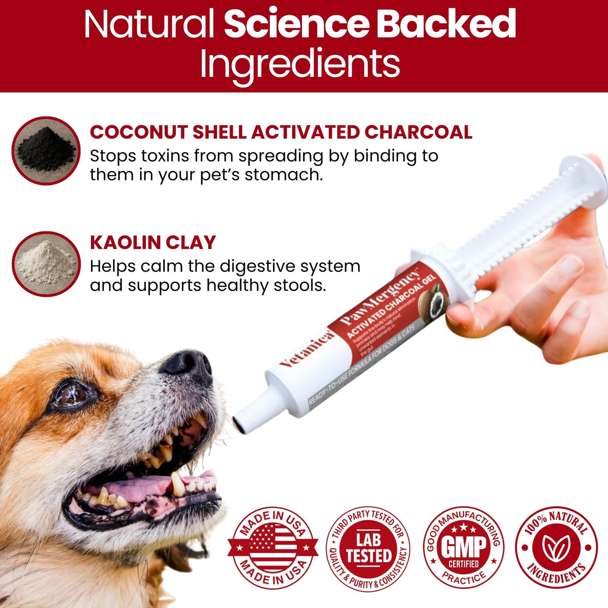 Vetanica PawMergency Activated Charcoal Pet First Aid Kit