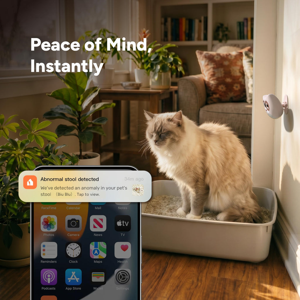 SiiPet LitterLens Cat Litter Box Camera with App, AI Health Monitoring & Alerts, Track Urination & Stool, Multi-Cat Recognition, Works with Every Litter Box, Pet Health Monitor