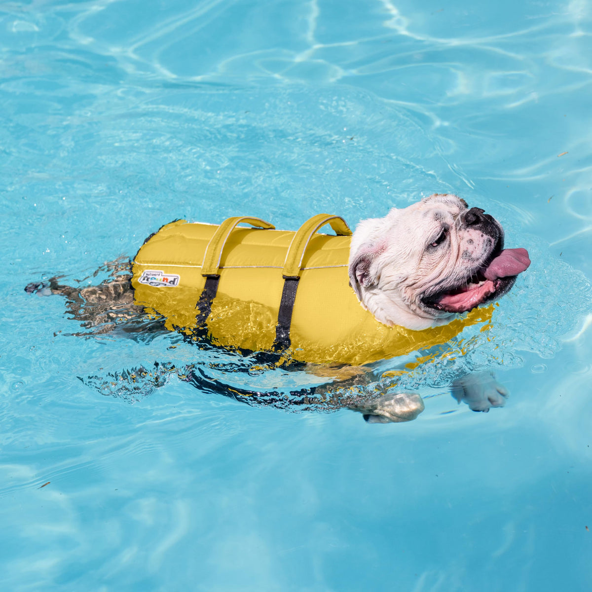 Outward Hound Granby Splash Dog Life Jacket, Medium
