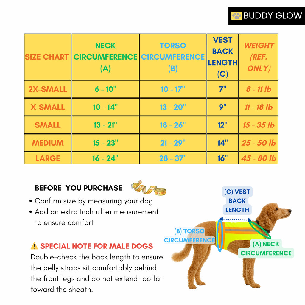 High-Visibility Reflective Dog Safety Vest for Outdoors