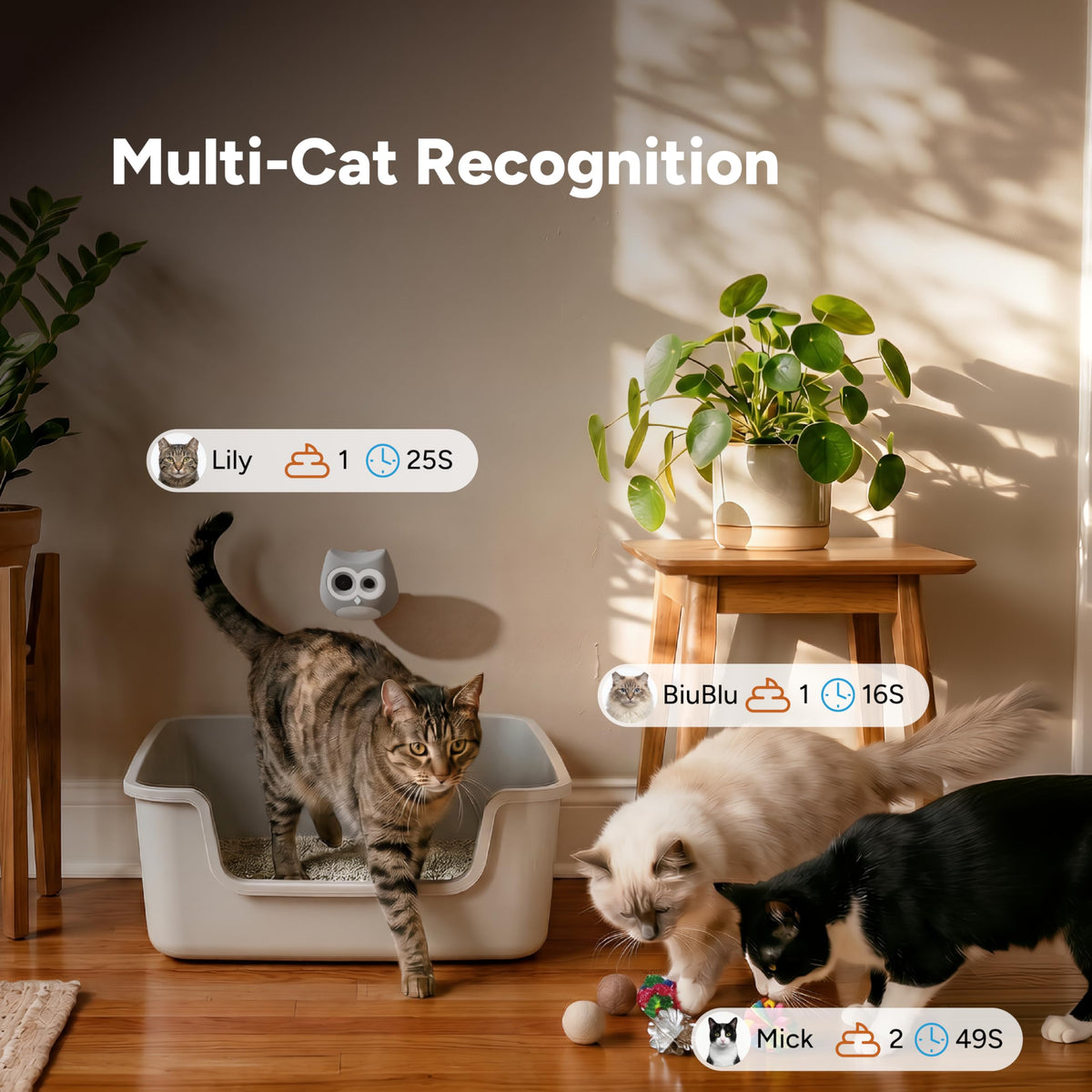 SiiPet LitterLens Cat Litter Box Camera with App, AI Health Monitoring & Alerts, Track Urination & Stool, Multi-Cat Recognition, Works with Every Litter Box, Pet Health Monitor