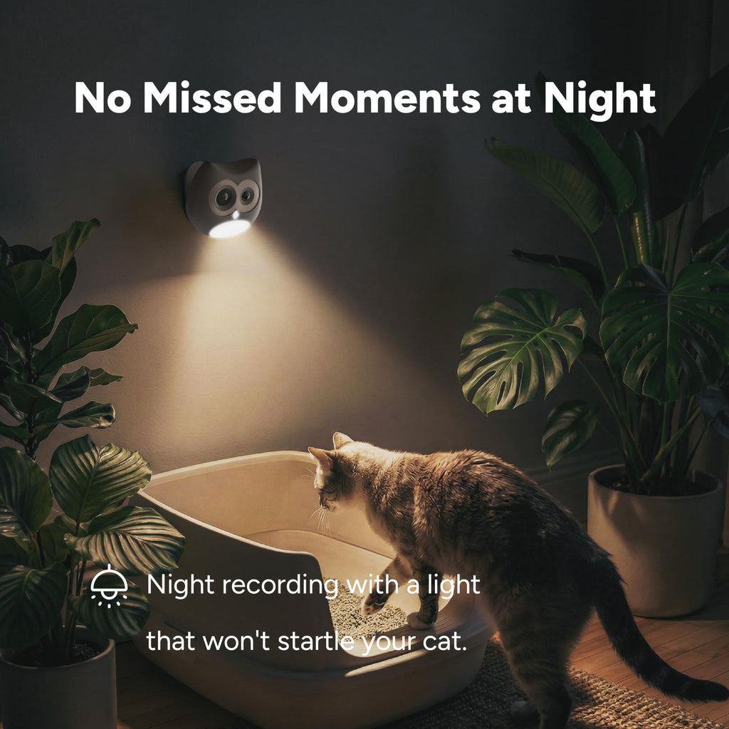 SiiPet LitterLens Cat Litter Box Camera with App, AI Health Monitoring & Alerts, Track Urination & Stool, Multi-Cat Recognition, Works with Every Litter Box, Pet Health Monitor
