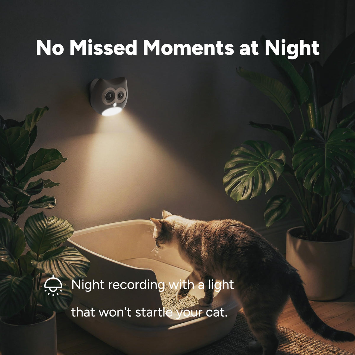 SiiPet LitterLens Cat Litter Box Camera with App, AI Health Monitoring & Alerts, Track Urination & Stool, Multi-Cat Recognition, Works with Every Litter Box, Pet Health Monitor