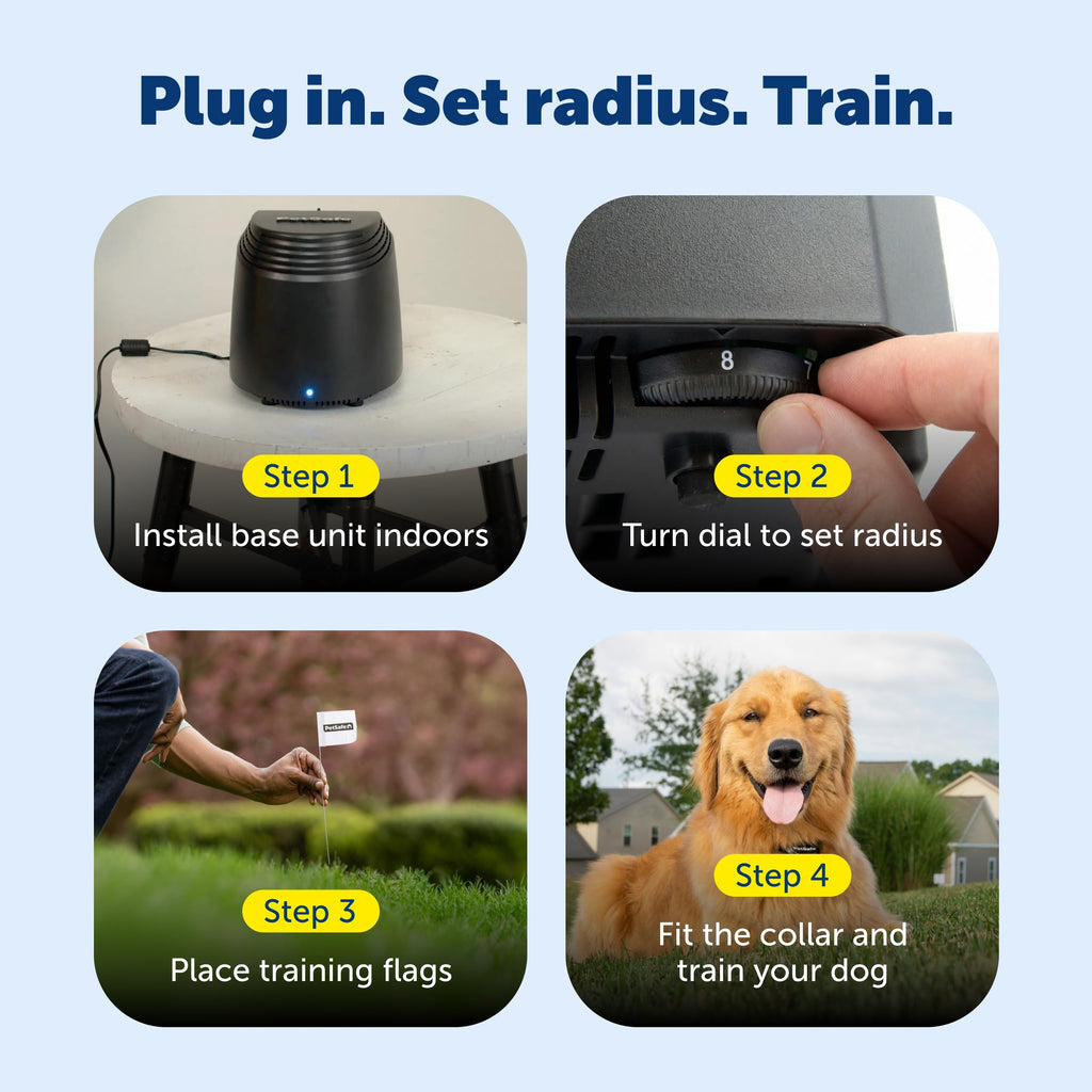PetSafe Stay & Play Compact Wireless Fence, LCD Screen to Adjust the Circular Boundary, Secure up to a 3,000 Square Metre Area, Use for All Your Pets, Portable System