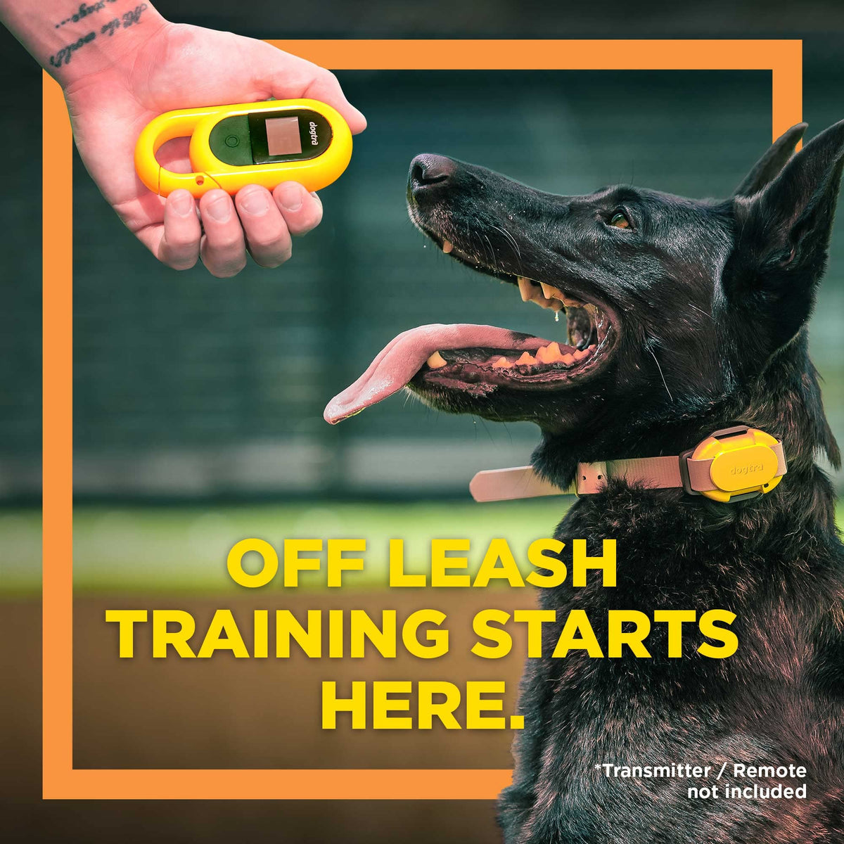 Dogtra CUE Easy Safe e-Collar with Vibration Customizable Waterproof Rechargeable ecollar Remote Training Collar
