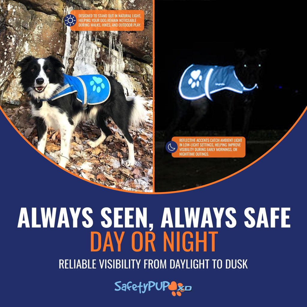 Reflective Hi-Vis Dog Safety Vest for Night Walks