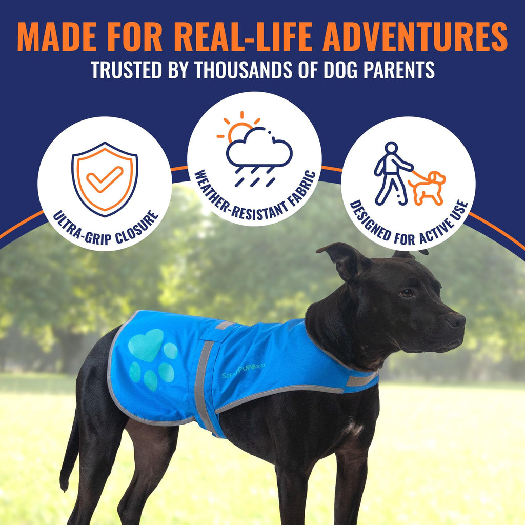 Reflective Hi-Vis Dog Safety Vest for Night Walks