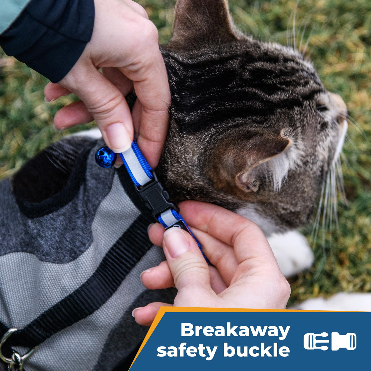 GoTags Personalized Reflective Engraved Cat Collar
