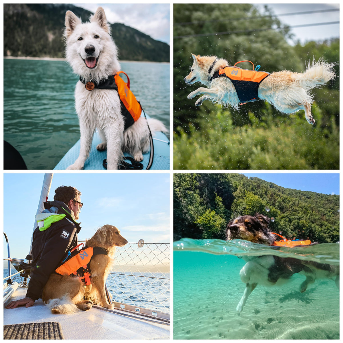 Non-stop Dogwear Protector Life Jacket, Black/Orange