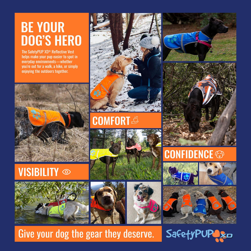 Reflective Hi-Vis Dog Safety Vest for Night Walks