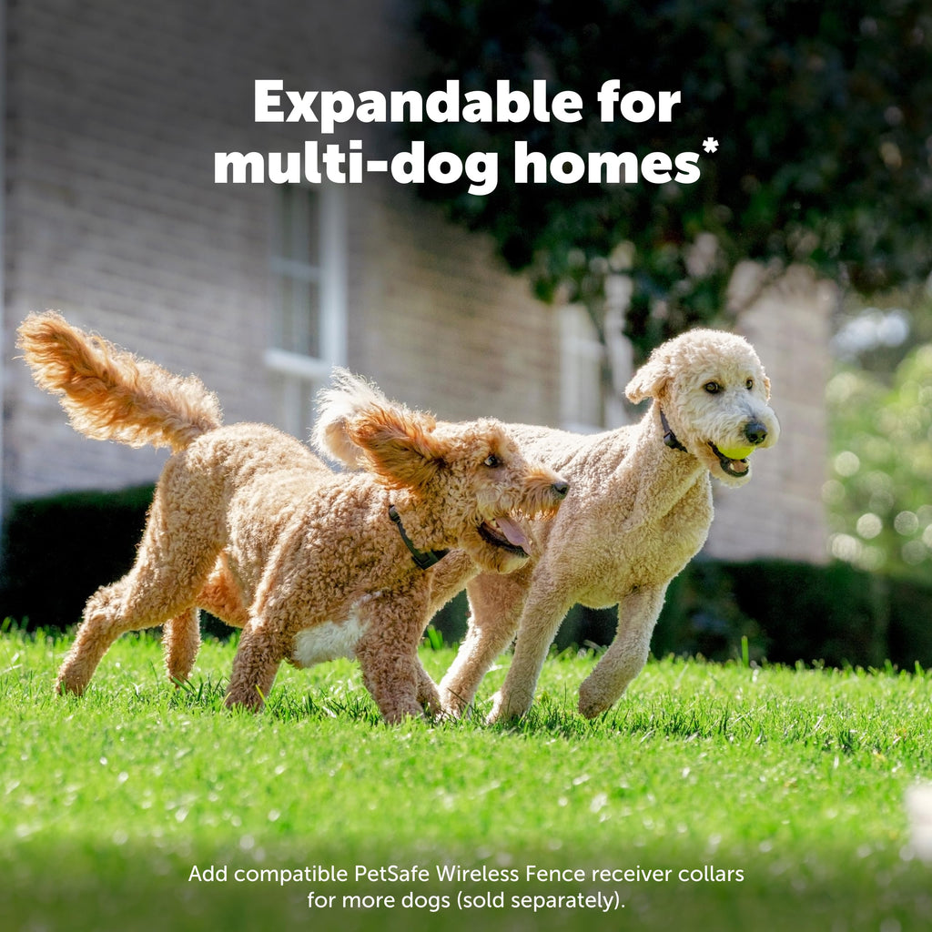 PetSafe Stay & Play Compact Wireless Fence, LCD Screen to Adjust the Circular Boundary, Secure up to a 3,000 Square Metre Area, Use for All Your Pets, Portable System