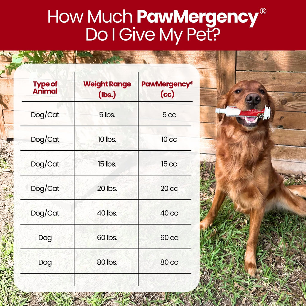 Vetanica PawMergency Activated Charcoal Pet First Aid Kit