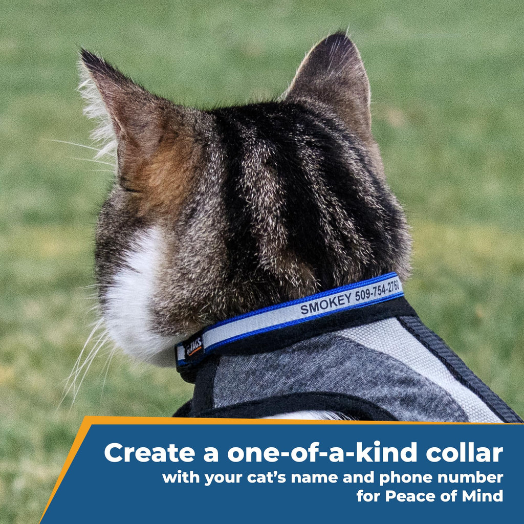GoTags Personalized Reflective Engraved Cat Collar