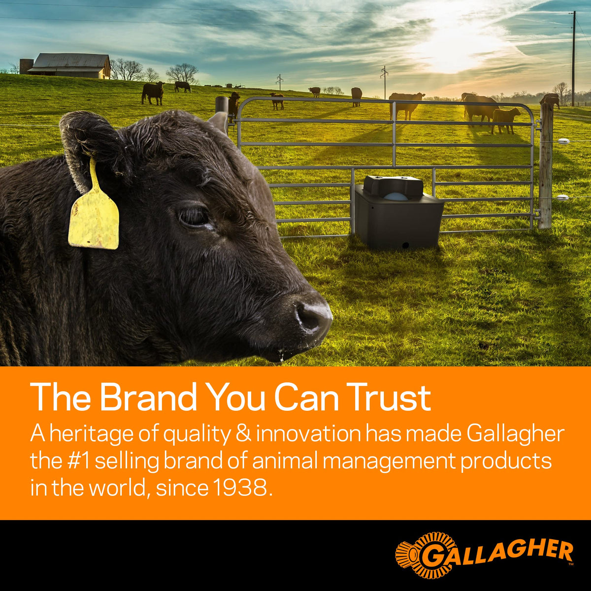 Gallagher Smart Fence 2 Portable Electric Fence for Livestock